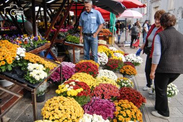 ulicama moga grada-22