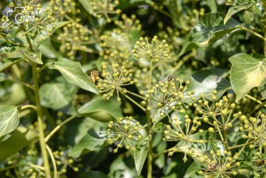 ulicama moga grada-23