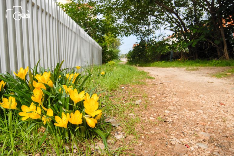 ulicama moga grada-23