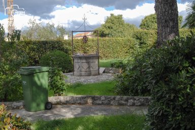 ulicama moga grada-24