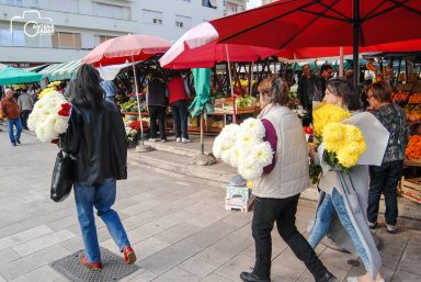 ulicama moga grada-24