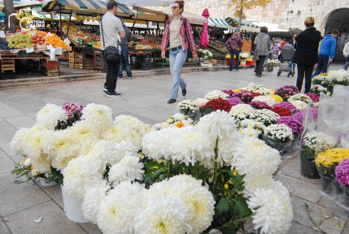 ulicama moga grada-25