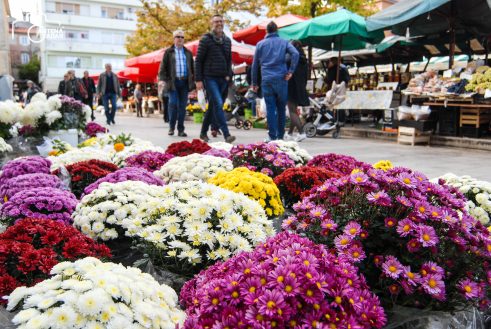 ulicama moga grada-26