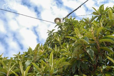 ulicama moga grada-26