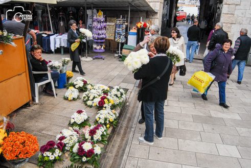 ulicama moga grada-27