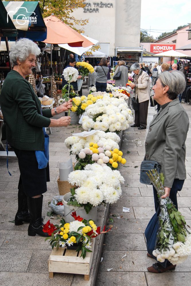 ulicama moga grada-28