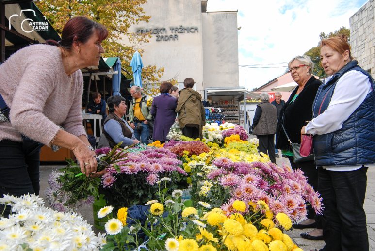 ulicama moga grada-29