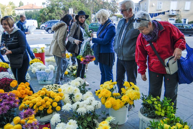 ulicama moga grada-3