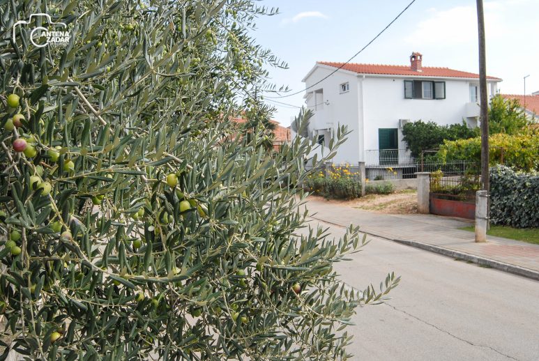 ulicama moga grada-3