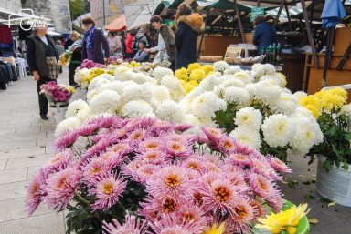 ulicama moga grada-30