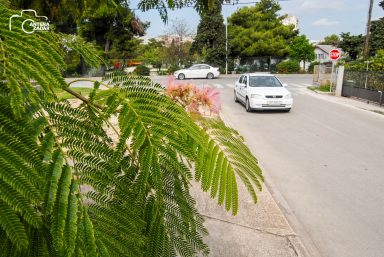 ulicama moga grada-30