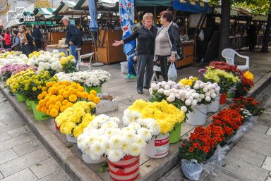 ulicama moga grada-31