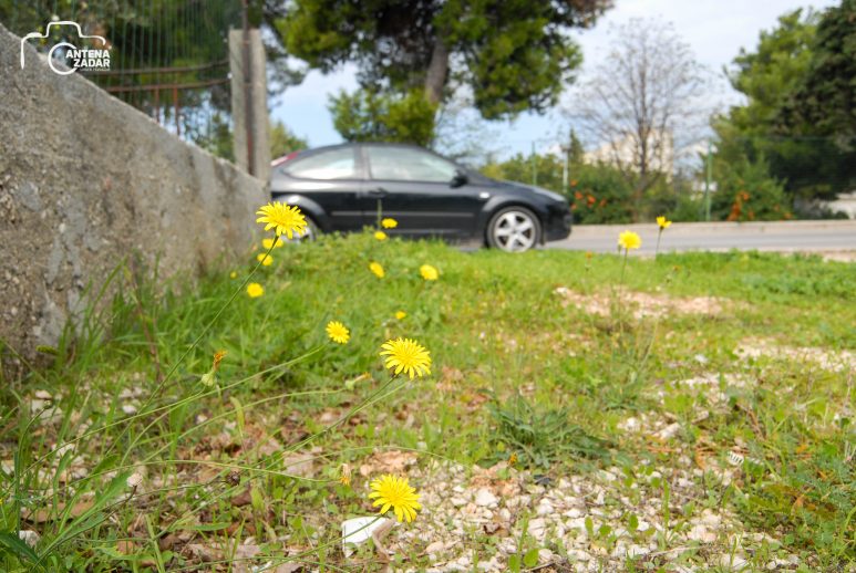 ulicama moga grada-31