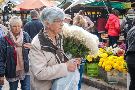 ulicama moga grada-33