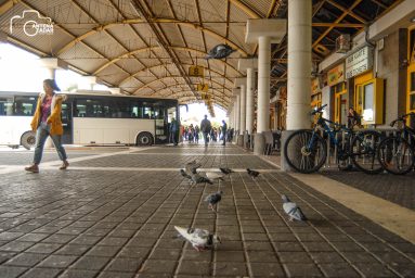 ulicama moga grada-34