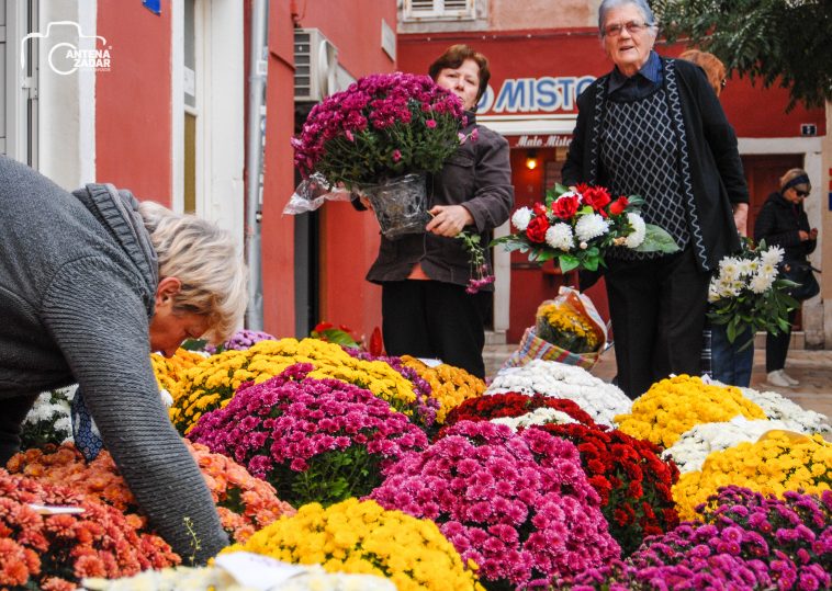 ulicama moga grada-37