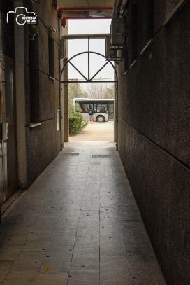 ulicama moga grada-38