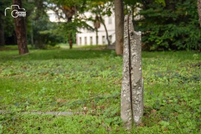 ulicama moga grada-4