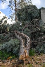 ulicama moga grada-4