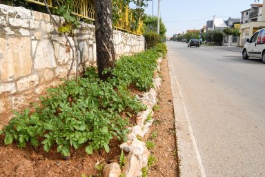 ulicama moga grada-4