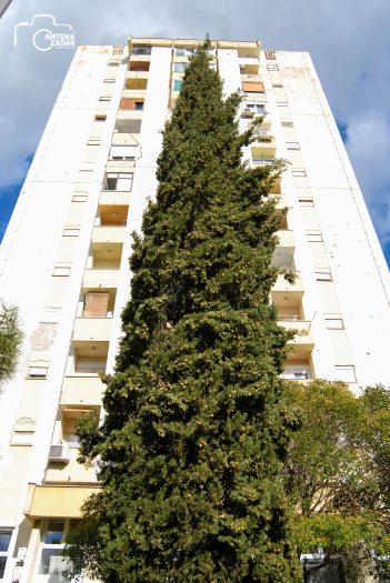 ulicama moga grada-5