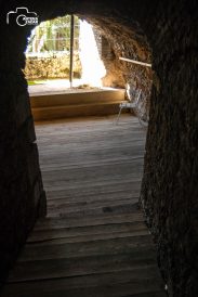 ulicama moga grada-5