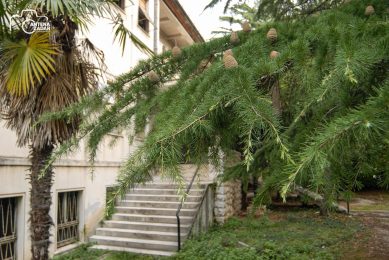 ulicama moga grada-6