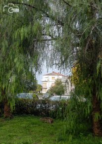 ulicama moga grada-7