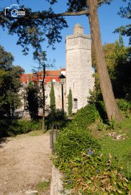 ulicama moga grada-7