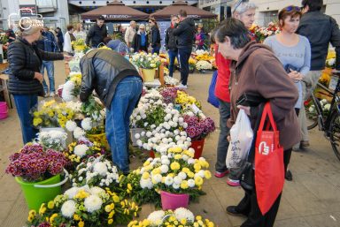 ulicama moga grada-8