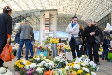 ulicama moga grada-9