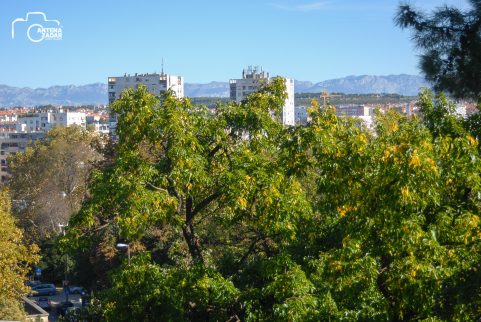 ulicama moga grada-9