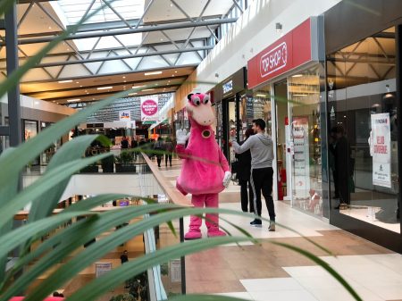 Ponovno otvorenje Supernove 24