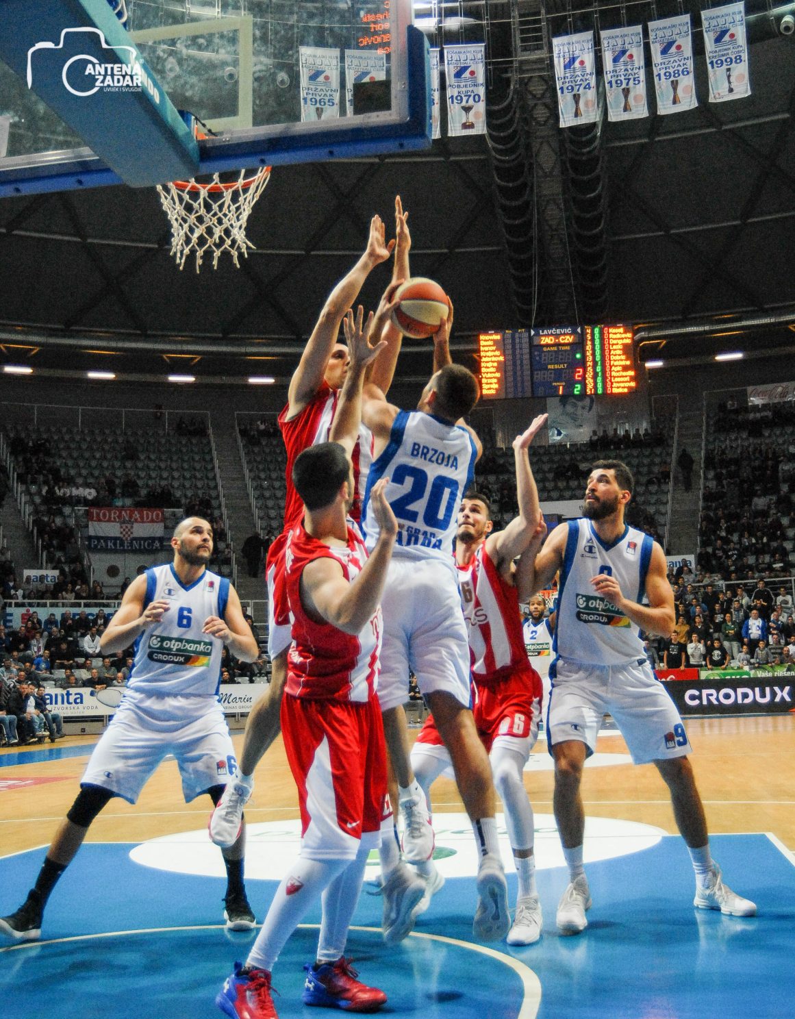 kk zadar kk crvena zvezda,mislav brzoja
