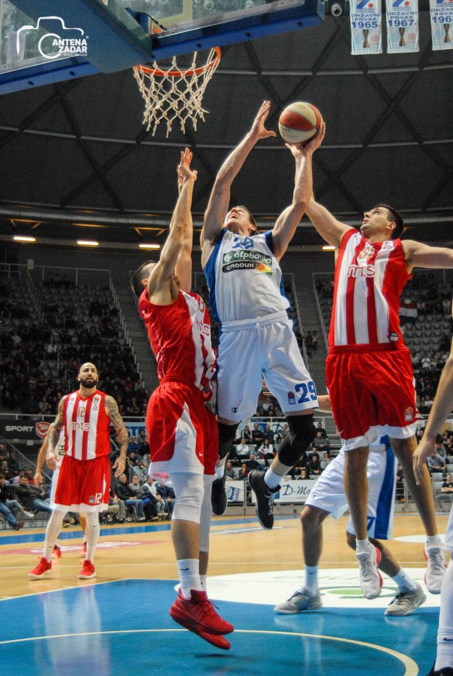 kk zadar kk crvena zvezda,luka bozic