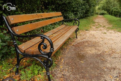 ulicama moga grada-10