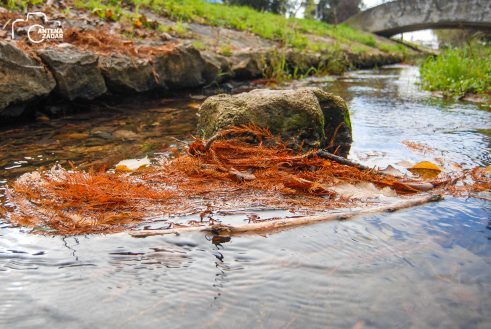 ulicama moga grada-11