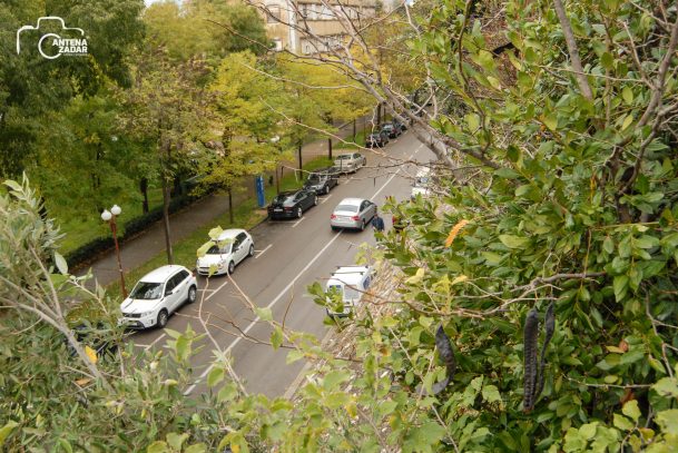 ulicama moga grada-12