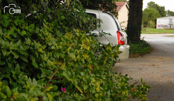 ulicama moga grada-12