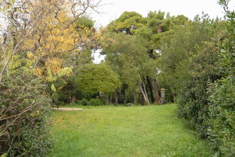 ulicama moga grada-13