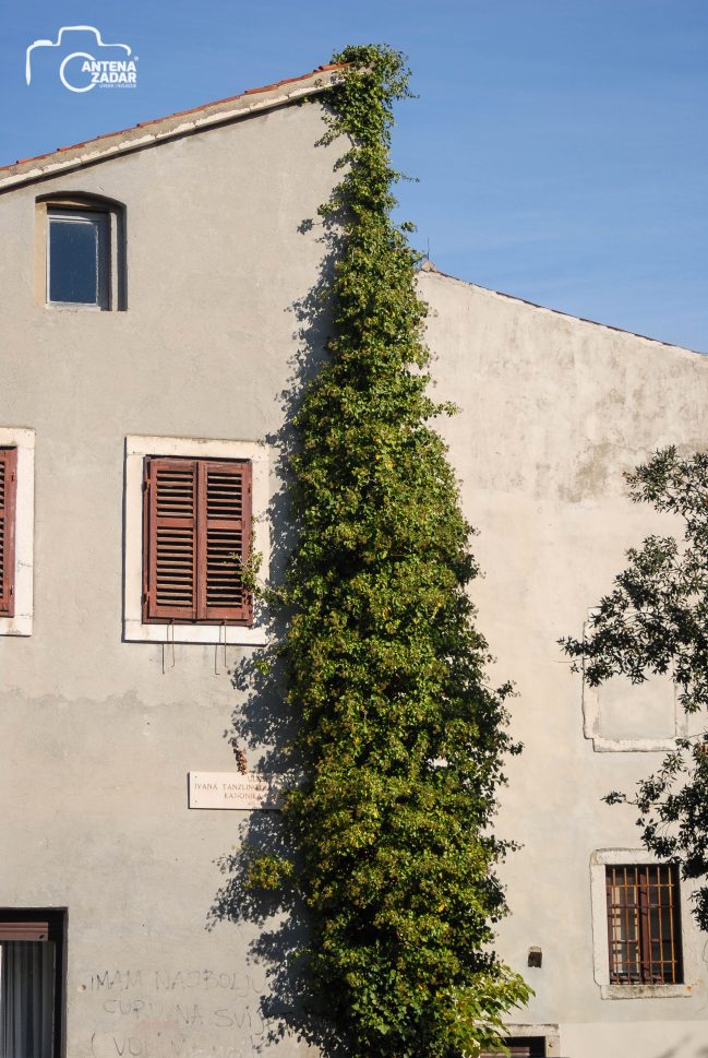 ulicama moga grada-13