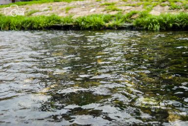 ulicama moga grada-15