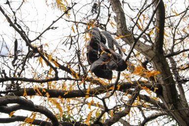 ulicama moga grada-15