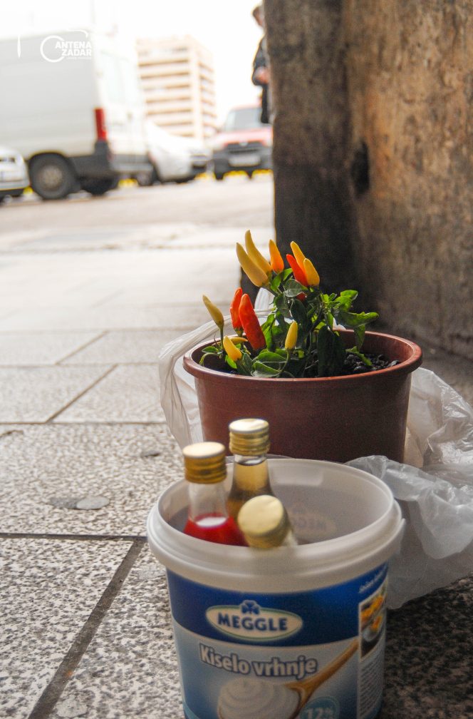 ulicama moga grada-15