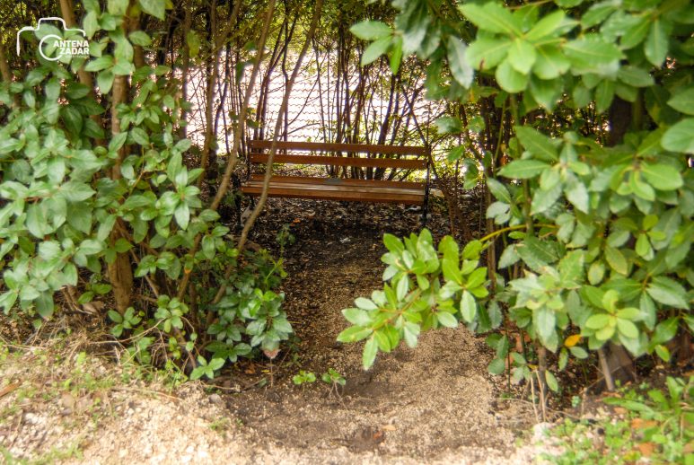 ulicama moga grada-17