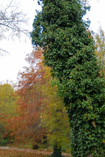 ulicama moga grada-2