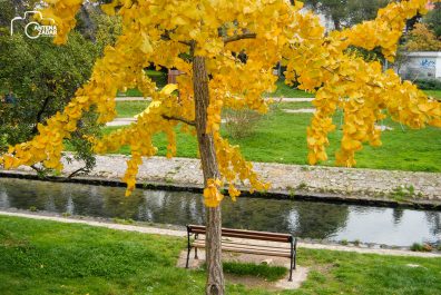 ulicama moga grada-20