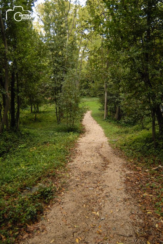 ulicama moga grada-21