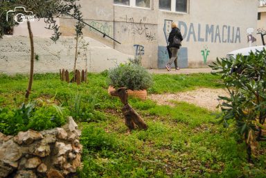 ulicama moga grada-21