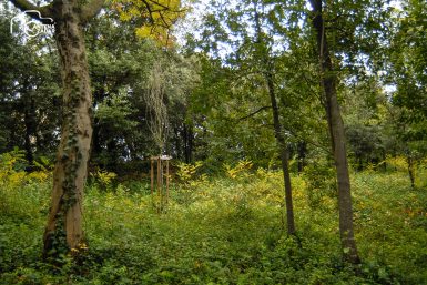 ulicama moga grada-22